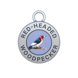 Red-headed Woodpecker Image