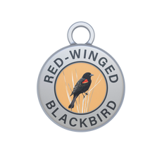 Red-winged Blackbird Image