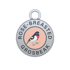 Rose-breasted Grosbeak Image