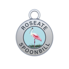 Roseate Spoonbill Image