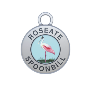 Roseate Spoonbill Image