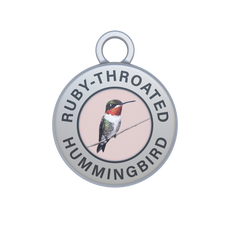 Ruby-throated Hummingbird Image