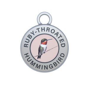 Ruby-throated Hummingbird Image