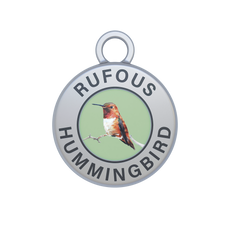 Rufous Hummingbird Image