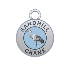 Sandhill Crane Image