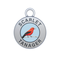 Scarlet Tanager Image