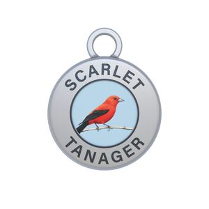 Scarlet Tanager Image