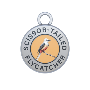 Scissor-tailed Flycatcher Image