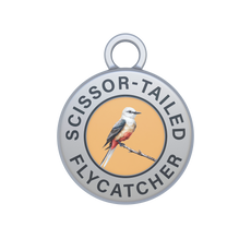 Scissor-tailed Flycatcher Image