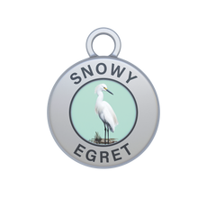 Snowy Egret Image