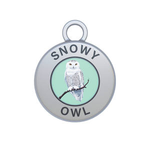 Snowy Owl Image
