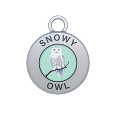 Snowy Owl Image