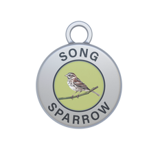 Song Sparrow Image