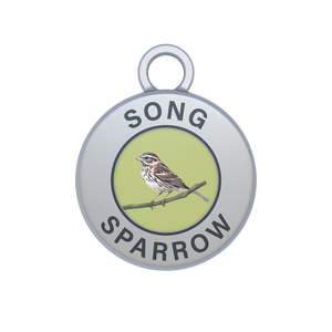 Song Sparrow Image