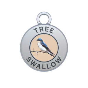 Tree Swallow Image