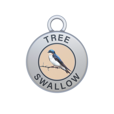 Tree Swallow Image