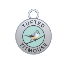 Tufted Titmouse Image