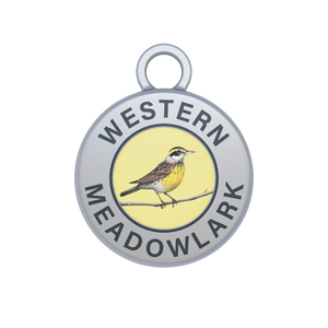 Western Meadowlark Image