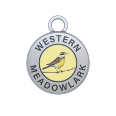 Western Meadowlark Image
