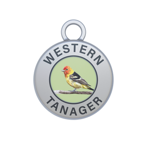 Western Tanager Image