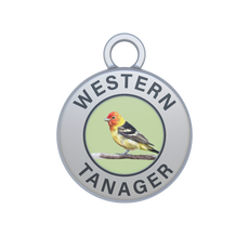 Western Tanager Image