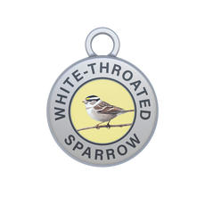 White-throated Sparrow Image