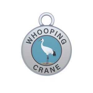 Whooping Crane Image