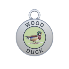 Wood Duck Image