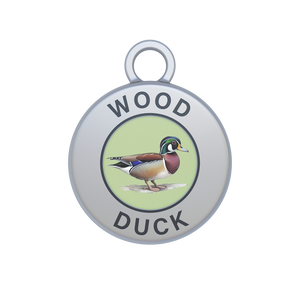 Wood Duck Image