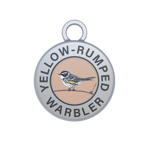 Yellow-rumped Warbler Image