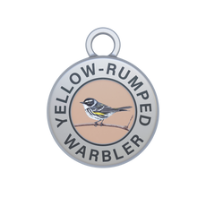 Yellow-rumped Warbler Image