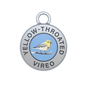 Yellow-throated Vireo Image