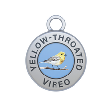 Yellow-throated Vireo Image