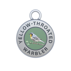 Yellow-throated Warbler Image