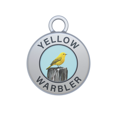 Yellow Warbler Image