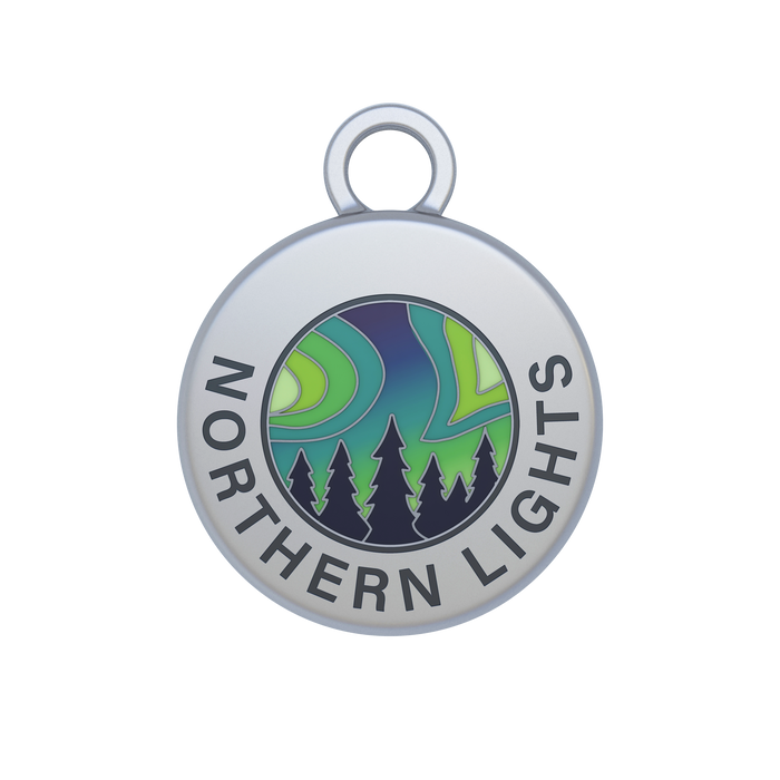 Landmark Tokens