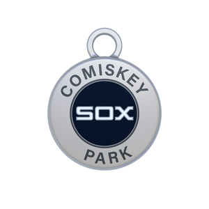 Comiskey Park Image