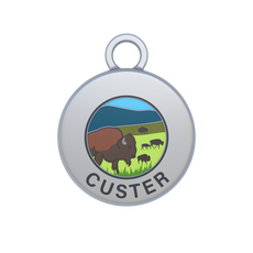 Custer Image