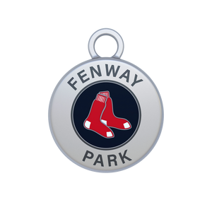 Fenway Park Image