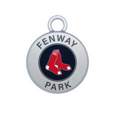 Fenway Park Image