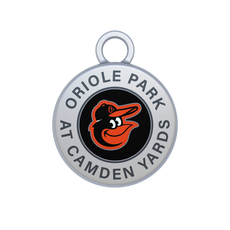 Parque Oriole en Camden Yards Image