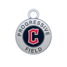 Campo progresivo Image
