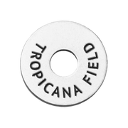 Tropicana Field Image